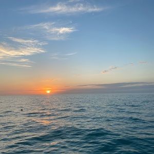 Meet your Posher, Adele